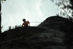 adr_2008_5