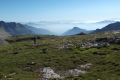brenta_2_20171017_1651506029
