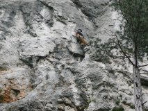 rakousko_2009_20