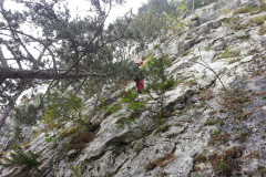 v_raxu_17_20171025_1945024429
