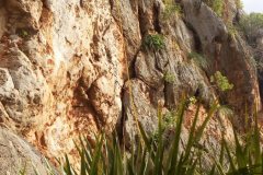 san_vito_lo_capo_10_20180307_1294181227