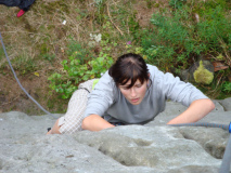 adr_2009_8
