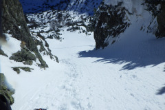 RIMG0867