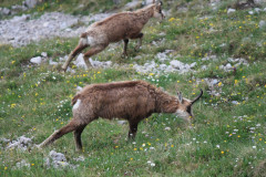 zajezd_12_20171024_1642469632