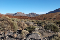 tenerife_3_20171017_1322004585